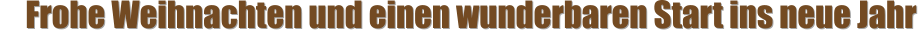 Frohe Weihnachten und einen wunderbaren Start ins neue Jahr